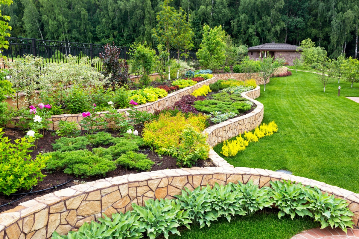Landscape Design project 2