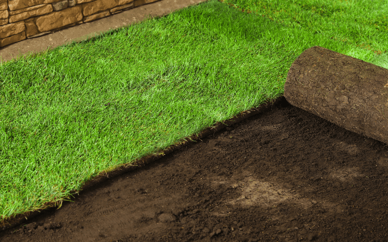 Sod Installation Services in Smithfield, VA